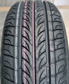 RAZI  RZ550  195/65 R15 91H  ����