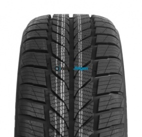 GENERAL TIRE  AltiMax AS365  205/55 R16 91H